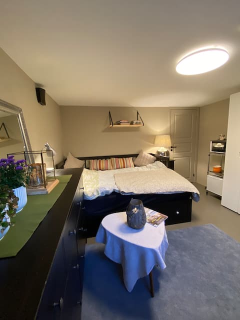 Room with private entrance and private bathroom