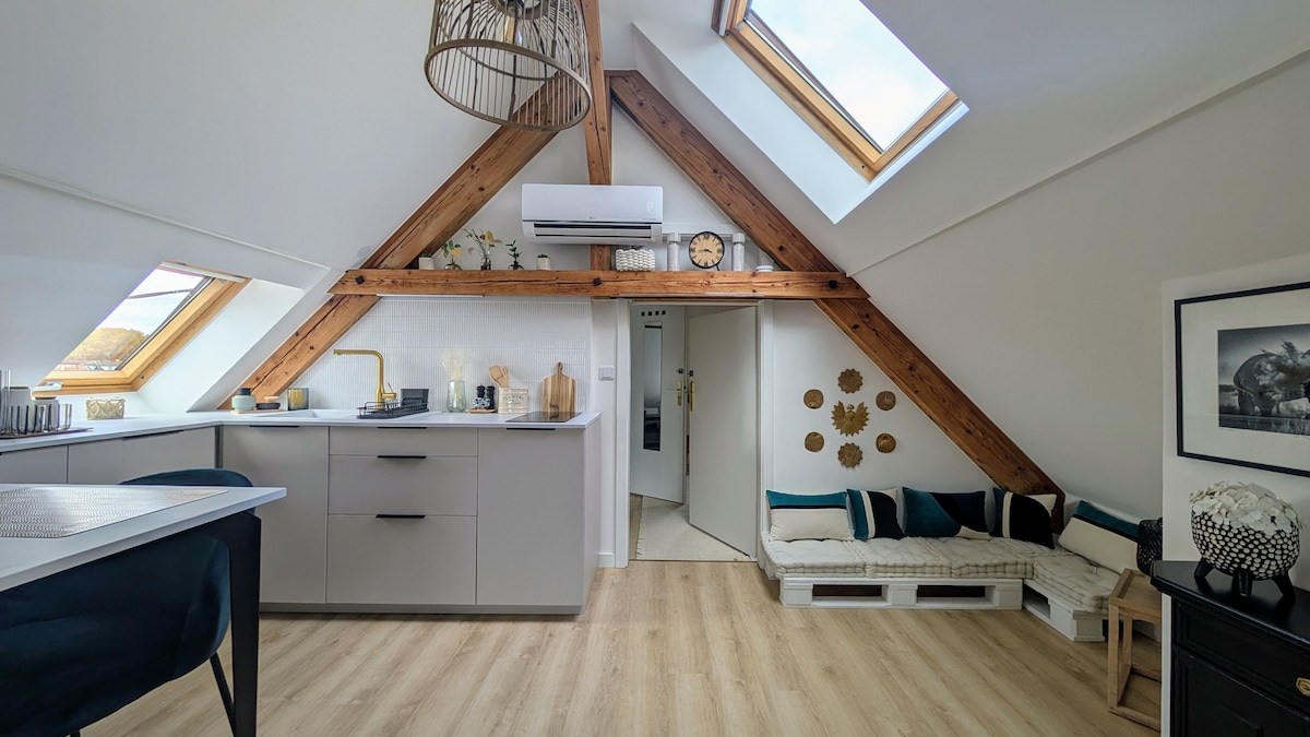 Successful Airbnb property: Cozy studio full of charm in Bas Rhin