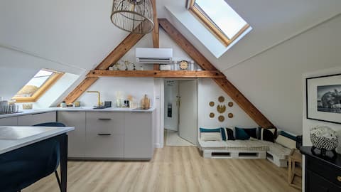 Propriété Airbnb réussie: Cozy studio full of charm à Illkirch Graffenstaden