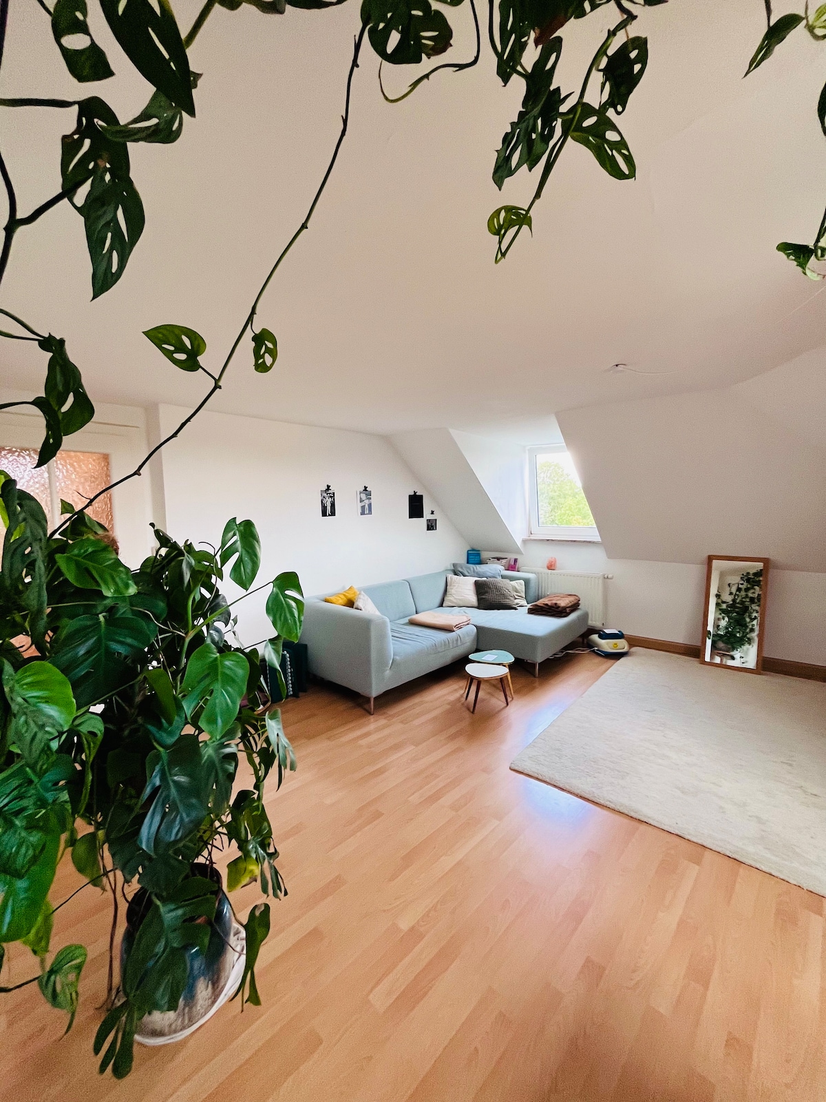 Popular Airbnb listing: Green cozy attic in Untere Au