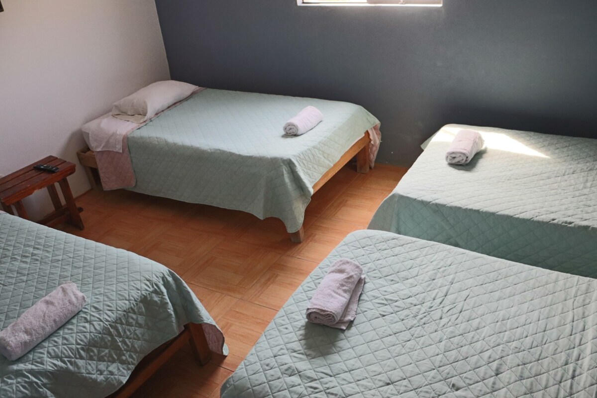 A spacious room is furnished with four beds, each featuring light blue bedspreads. Soft towels are neatly placed at the foot of each bed. Natural light illuminates the space through a window, while the floors are covered with light-colored tiles.