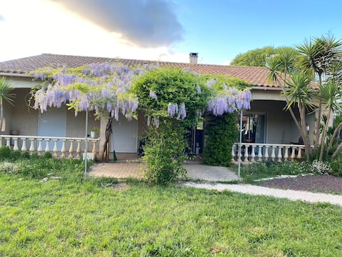 House near the vineyards