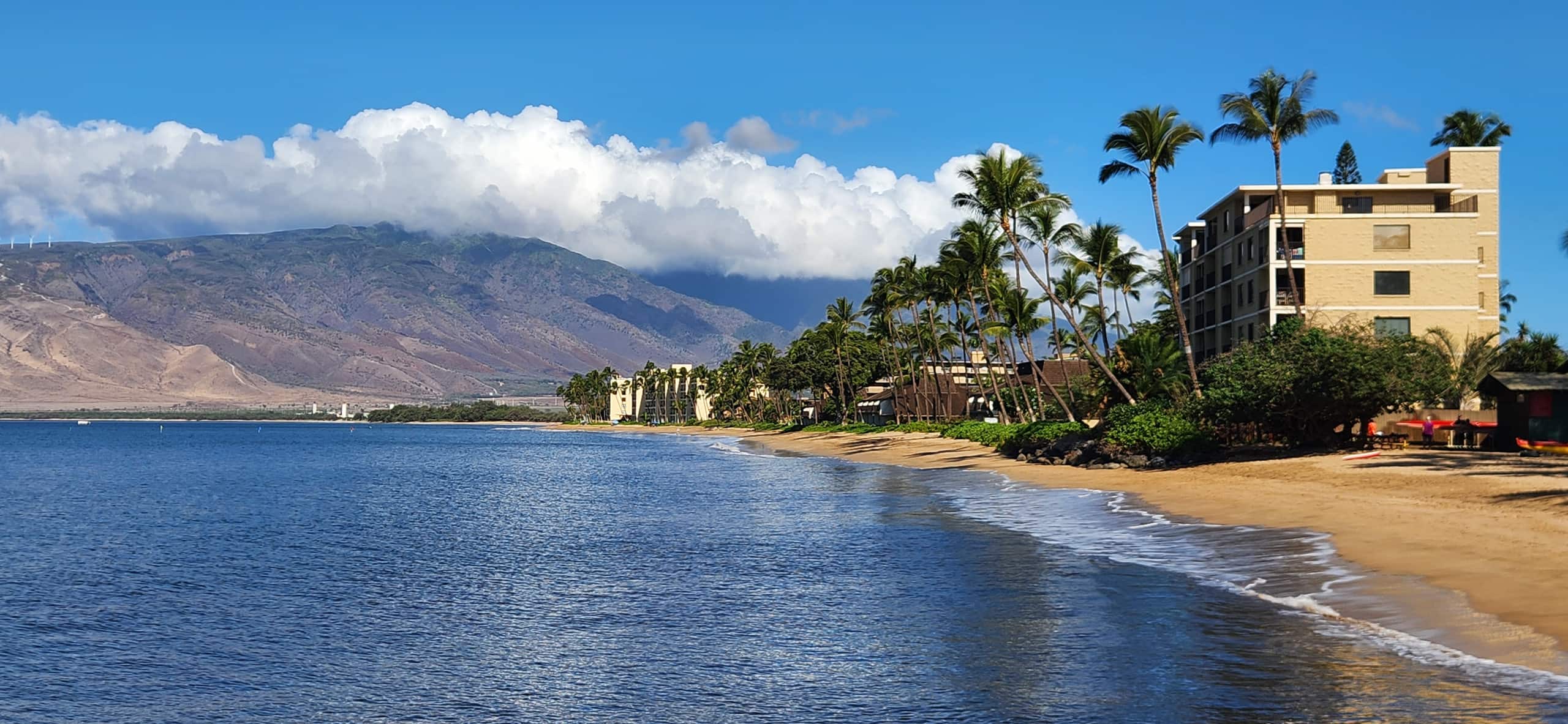 Condo in Kihei · ★4.92 · 2 bedrooms · 3 beds · 2 baths - Image 25