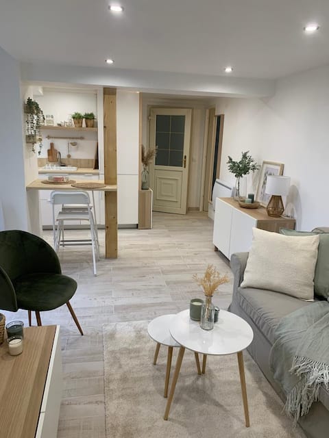Apartment (10 min from CDG)