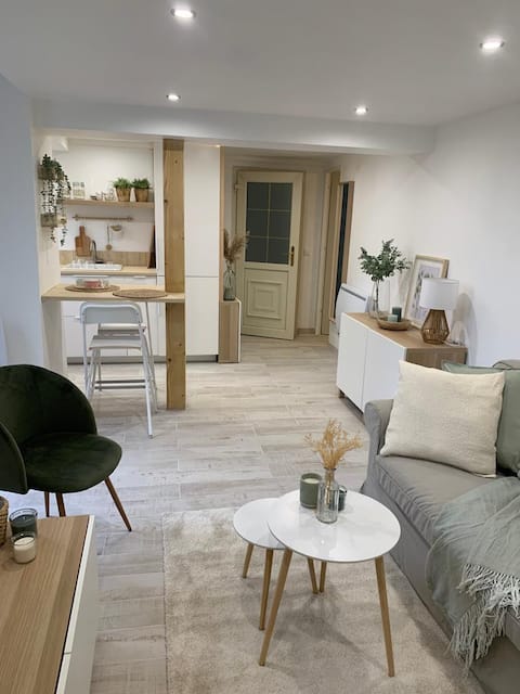 Apartment ( 10 min. CDG)