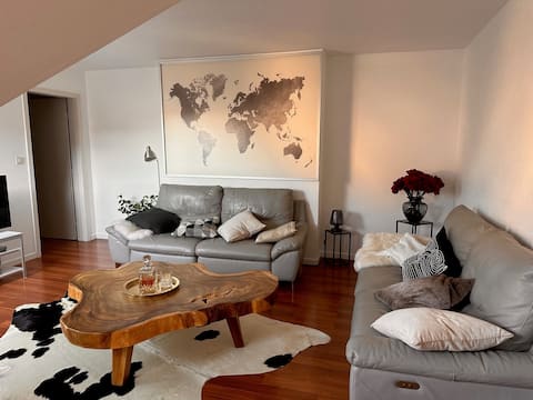 Successful Airbnb property: Rental/Warm tourist cottage Colmar in Colmar