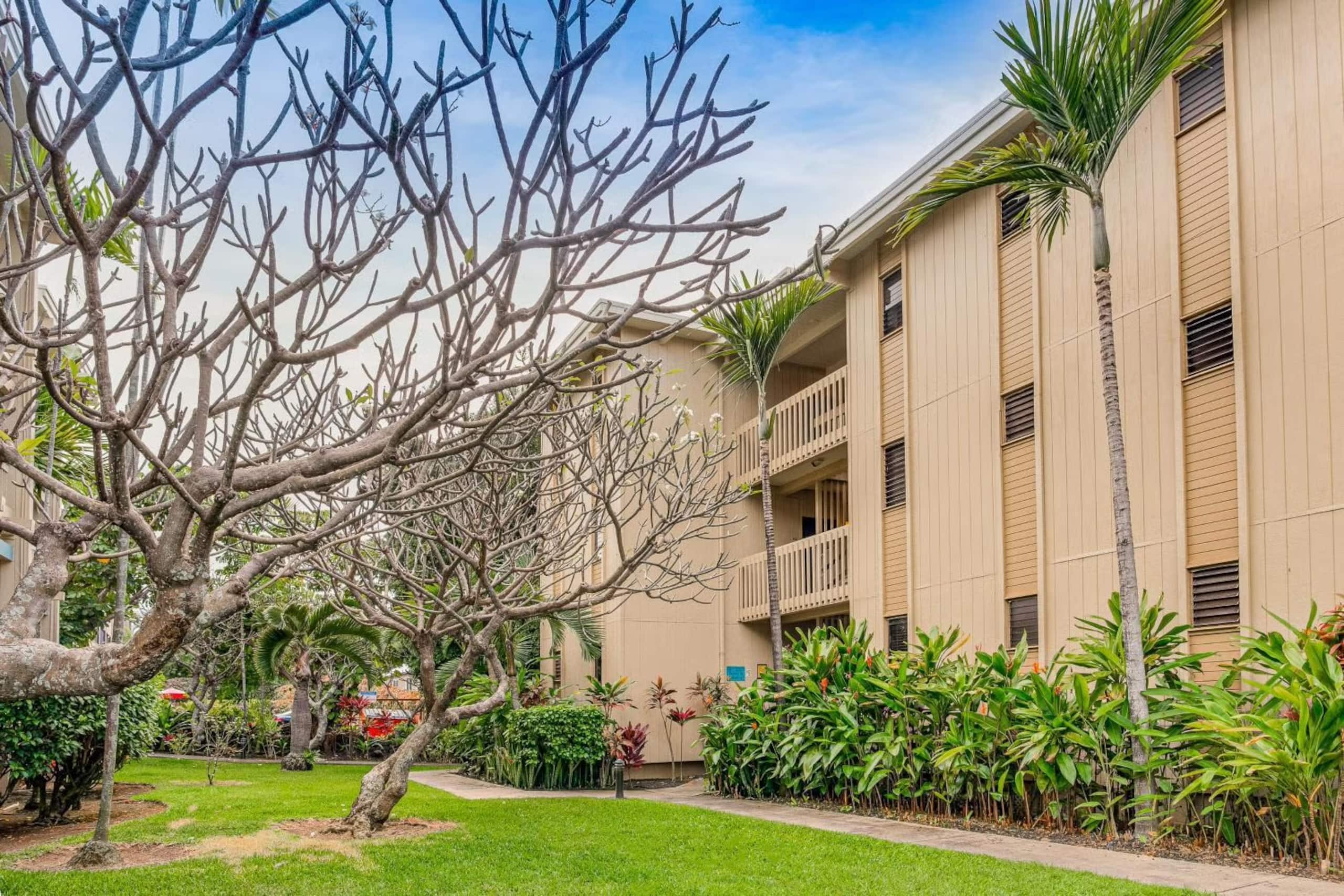 Condo in Kailua-Kona · ★4.65 · Studio · 1 bed · 1 bath - Image 15