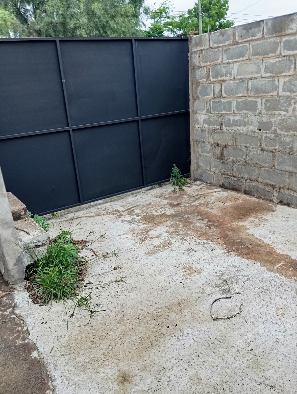 An enclosed outdoor space is visible, featuring a concrete floor with patches of vegetation along the edges. A tall black gate is positioned at one end, while the surrounding walls consist of raw concrete blocks, creating a private atmosphere.