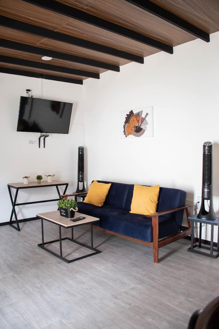 Casa De Los Olivos - León