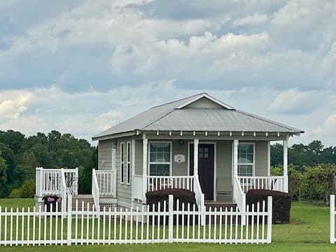 Vineyard Cabin in Moultrie!