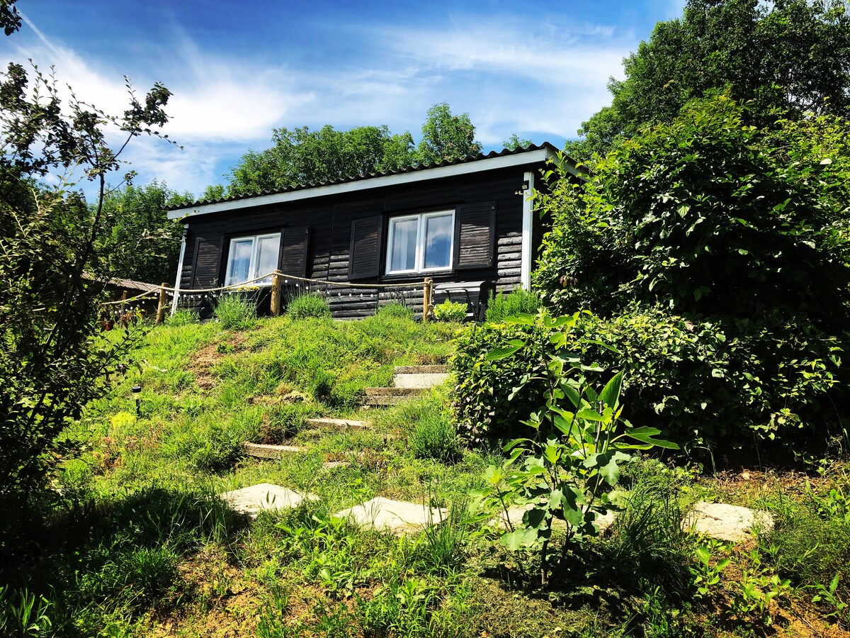 A charming cabin is nestled amidst lush greenery, with a sloped pathway leading to its welcoming entrance. Large windows provide a glimpse of the inviting interior, while the surrounding garden enhances the tranquil setting.
