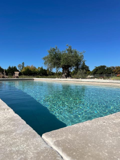 House with private pool – 9 people – quiet – Avignon