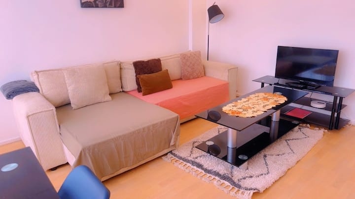 Charmant Appartement De 85 M2 - Fontainebleau