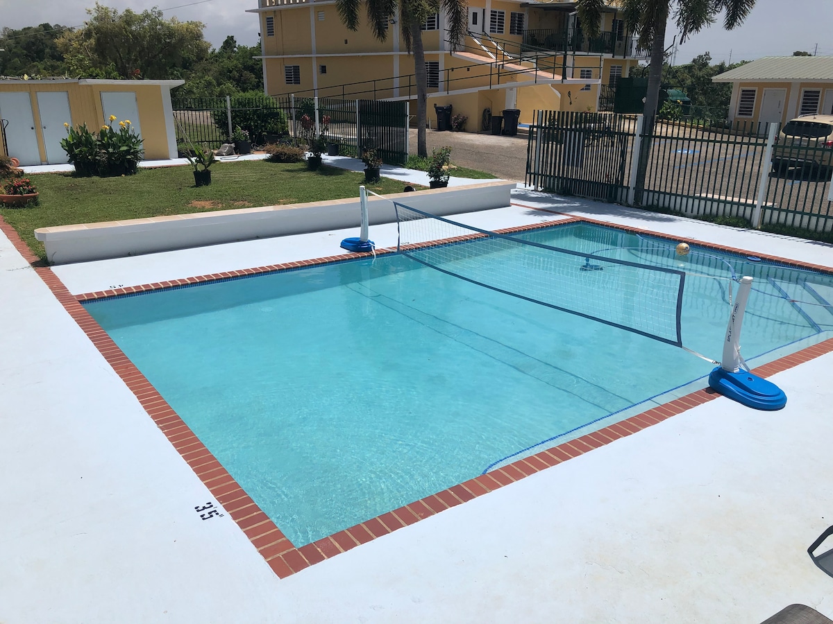A clear swimming pool occupies the foreground, with a shallow and deep end indicated by tiles. Surrounding the pool, a well-maintained deck is visible, bordered by a green grassy area and landscaped with tropical plants. Fencing provides boundary and privacy.