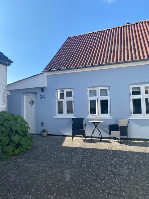 The little blue house