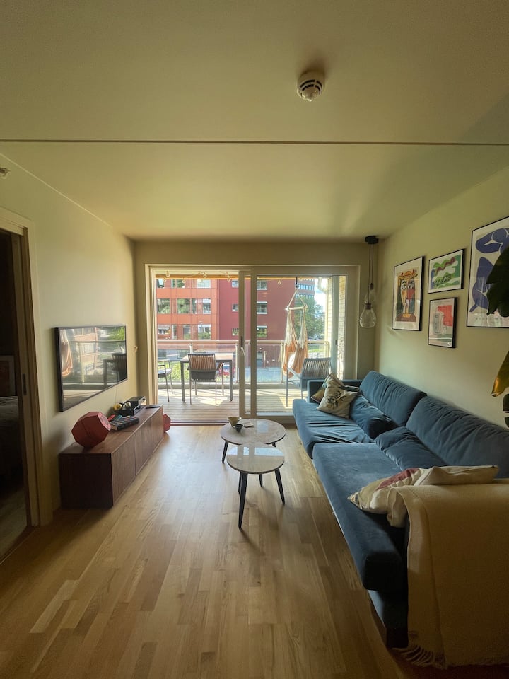 Cozy Central Flat W/balcony - Oslo