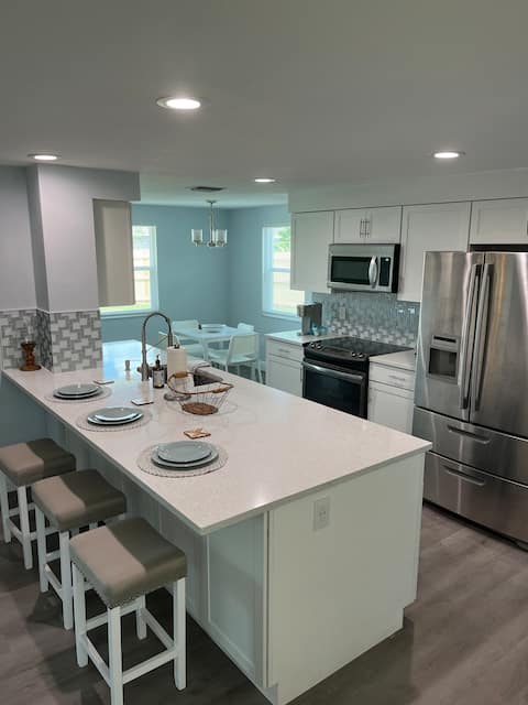 Ashota - The Jellyfish