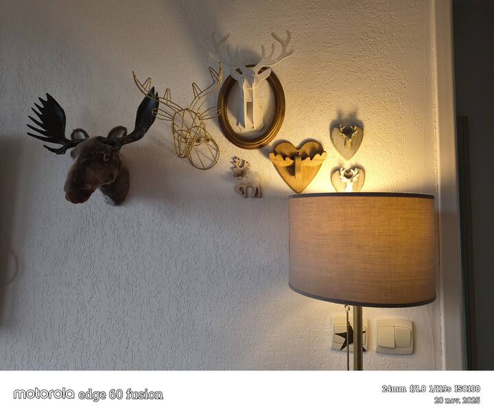 غرفة المعيشة