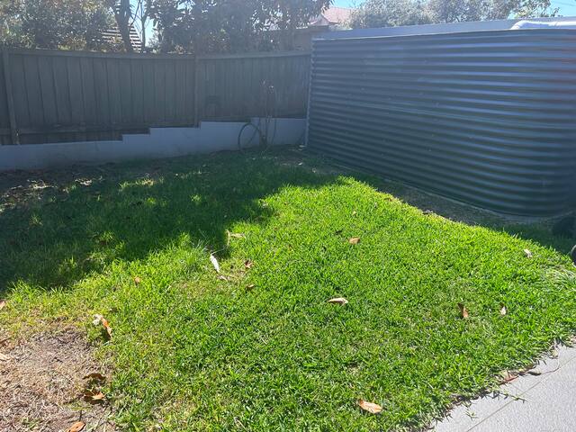 Large modern semi Dover Heights gallery image 4