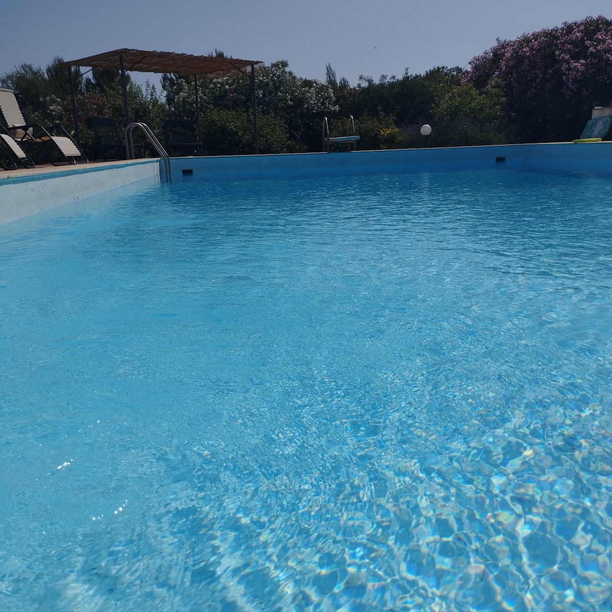 A clear swimming pool glistens under the sun, with gentle ripples on the surface. Surrounding greenery and blooming flowers frame the area, while lounge chairs are positioned nearby for relaxation.