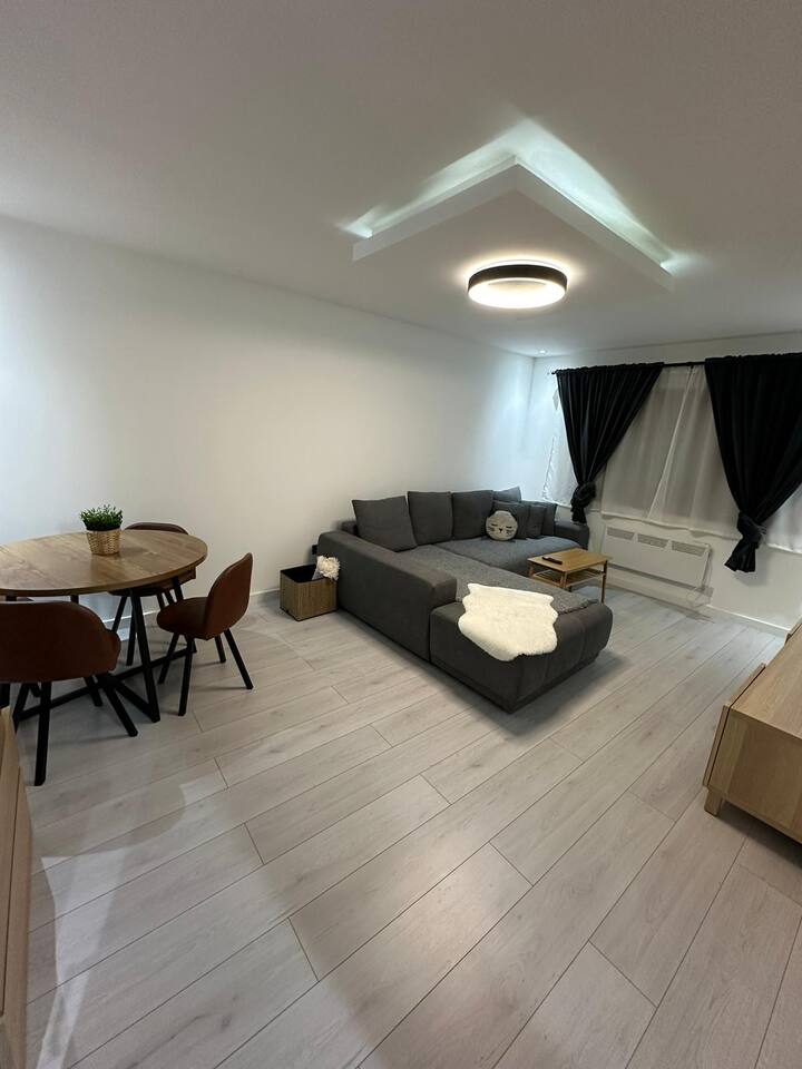 Maya`s Aparment - Borșa