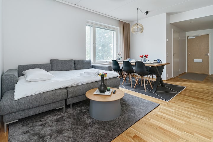 El apartamento contiene un sofá cama, que es fácil y sencillo de instalar. El ancho del sofá cama es de 120 cm.