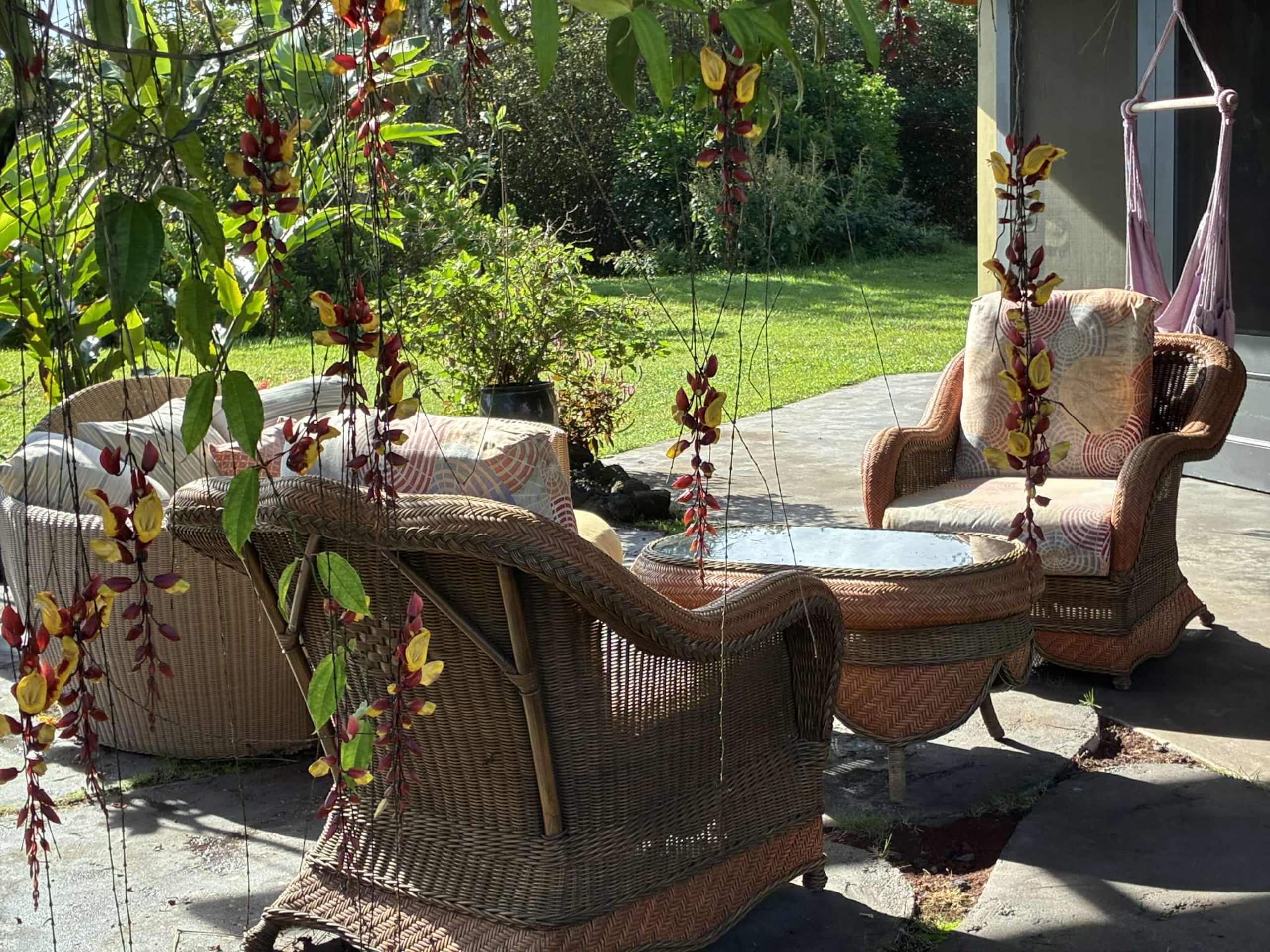 Home in Pahoa · ★5.0 · 4 bedrooms · 4 beds · 1 private bath - Image 38