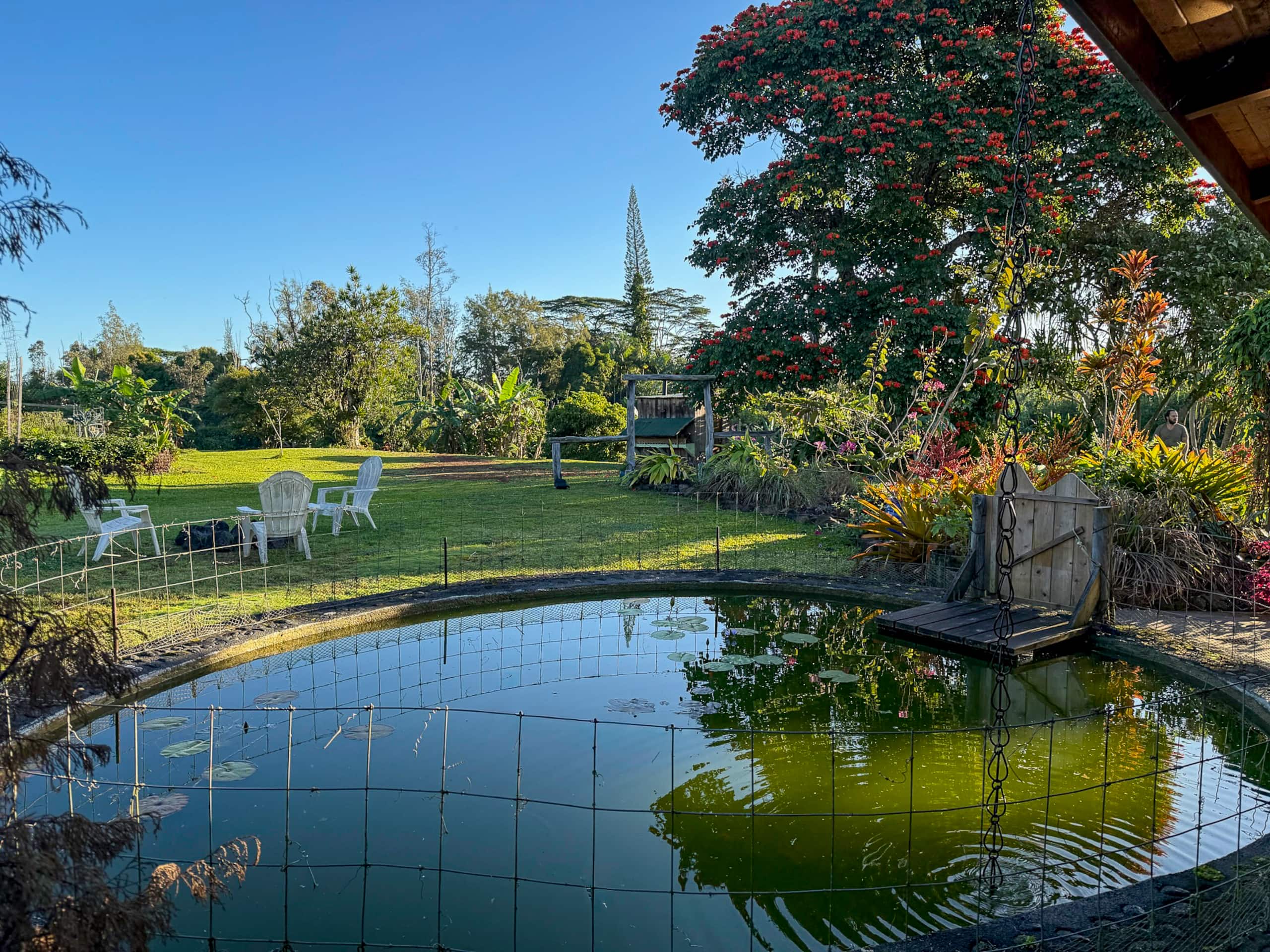 Home in Pahoa · ★5.0 · 4 bedrooms · 4 beds · 1 private bath - Image 36