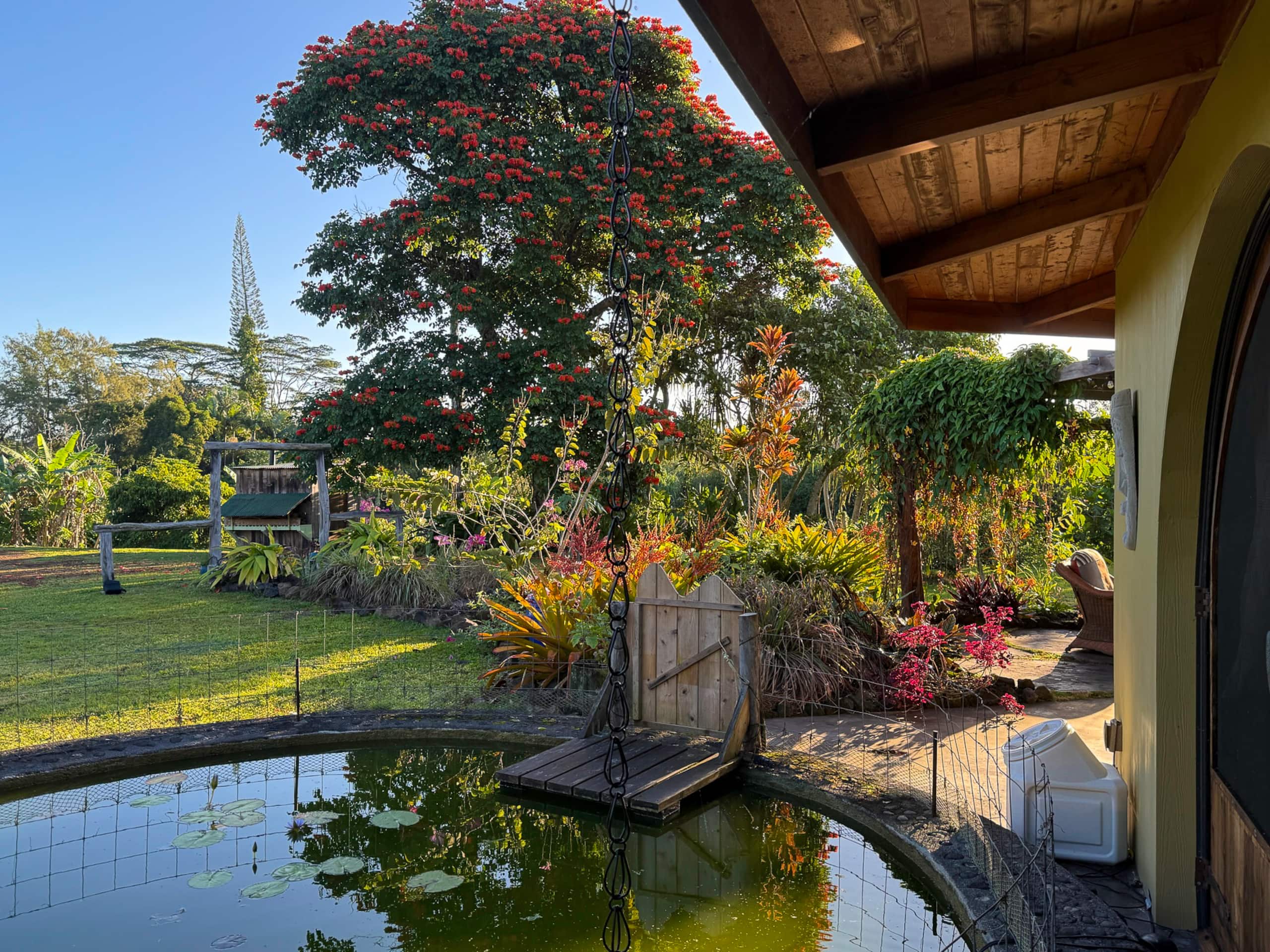 Home in Pahoa · ★5.0 · 4 bedrooms · 4 beds · 1 private bath - Image 44