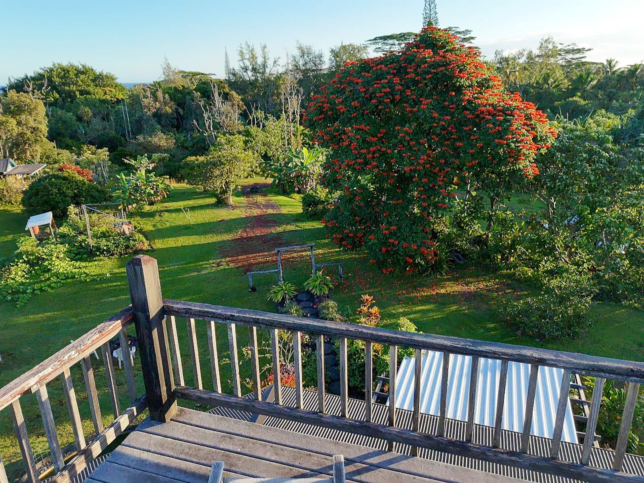 Home in Pahoa · ★5.0 · 4 bedrooms · 4 beds · 1 private bath - Image 66