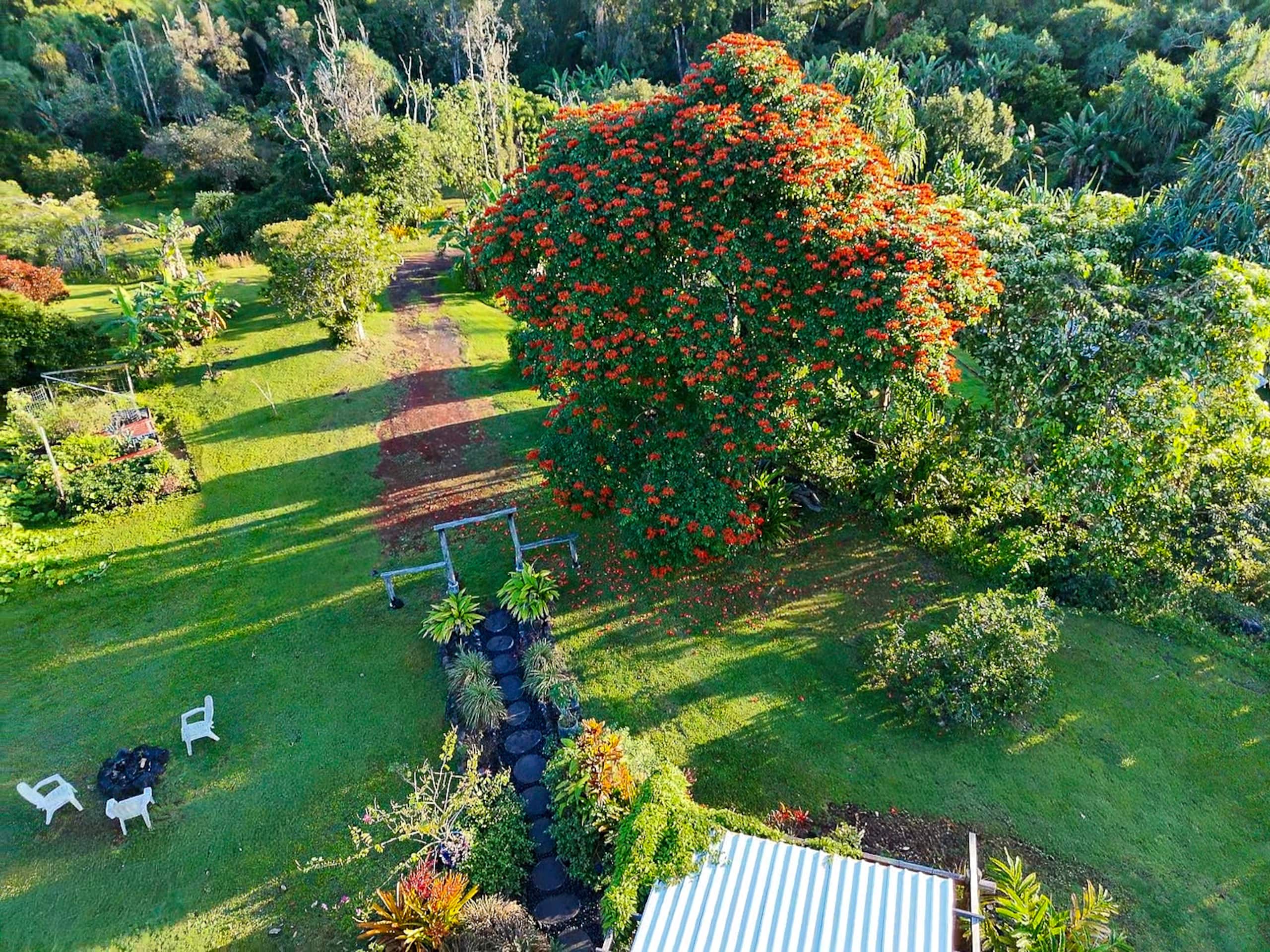 Home in Pahoa · ★5.0 · 4 bedrooms · 4 beds · 1 private bath - Image 35