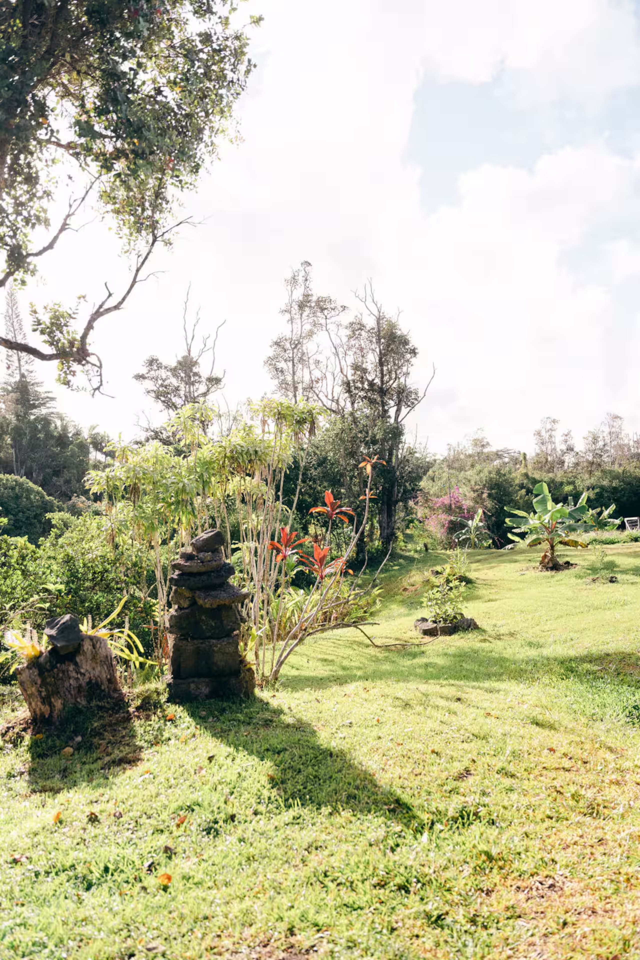 Home in Pahoa · ★5.0 · 4 bedrooms · 4 beds · 1 private bath - Image 59