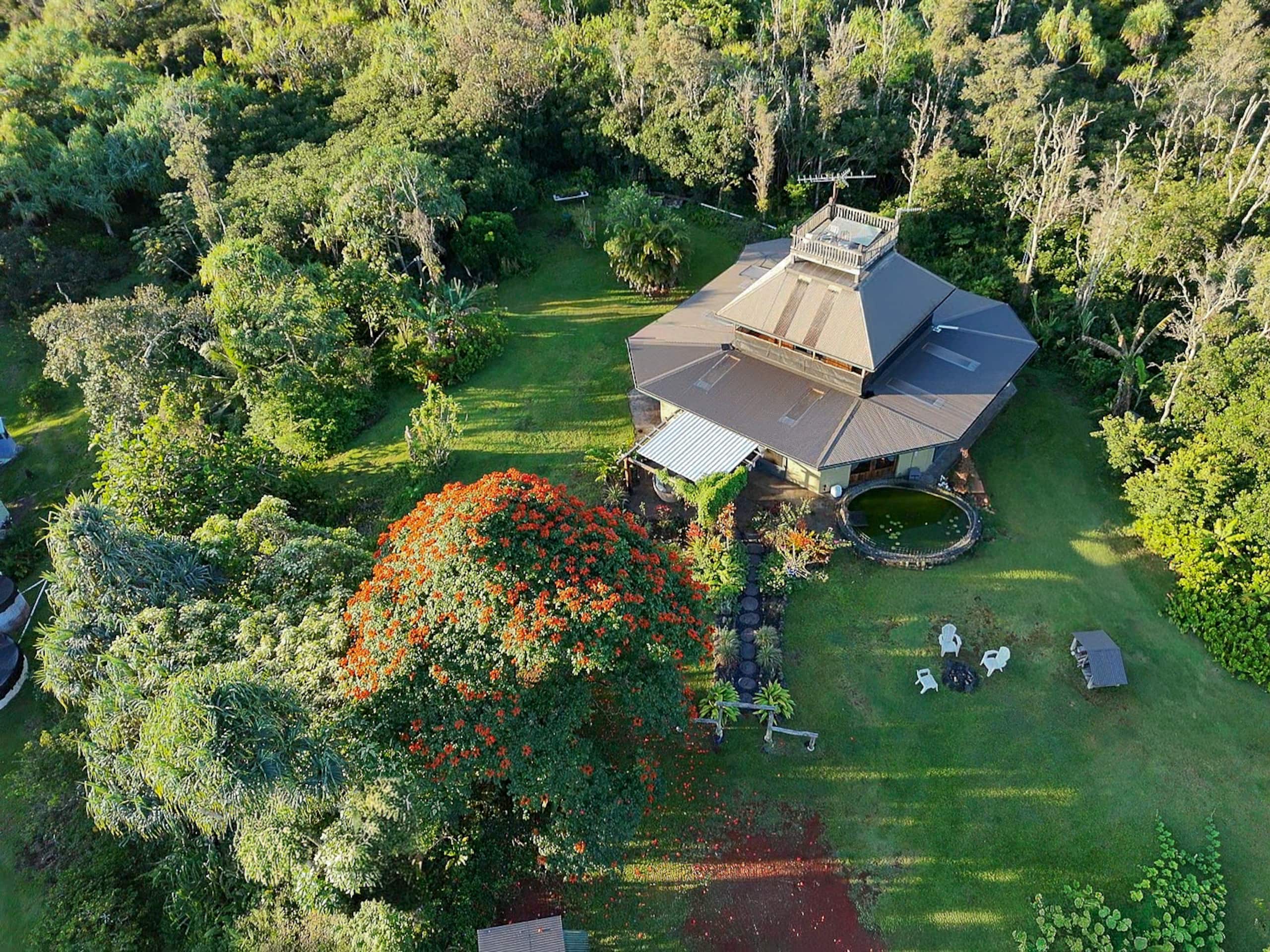 Home in Pahoa · ★5.0 · 4 bedrooms · 4 beds · 1 private bath - Image 50