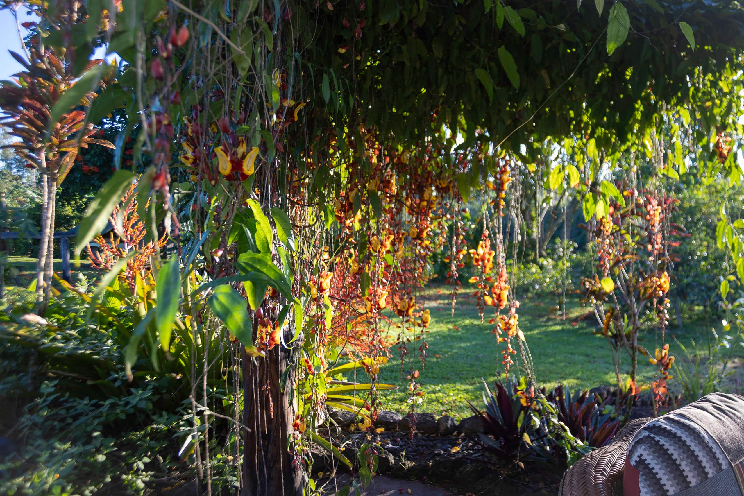 Home in Pahoa · ★5.0 · 4 bedrooms · 4 beds · 1 private bath - Image 40
