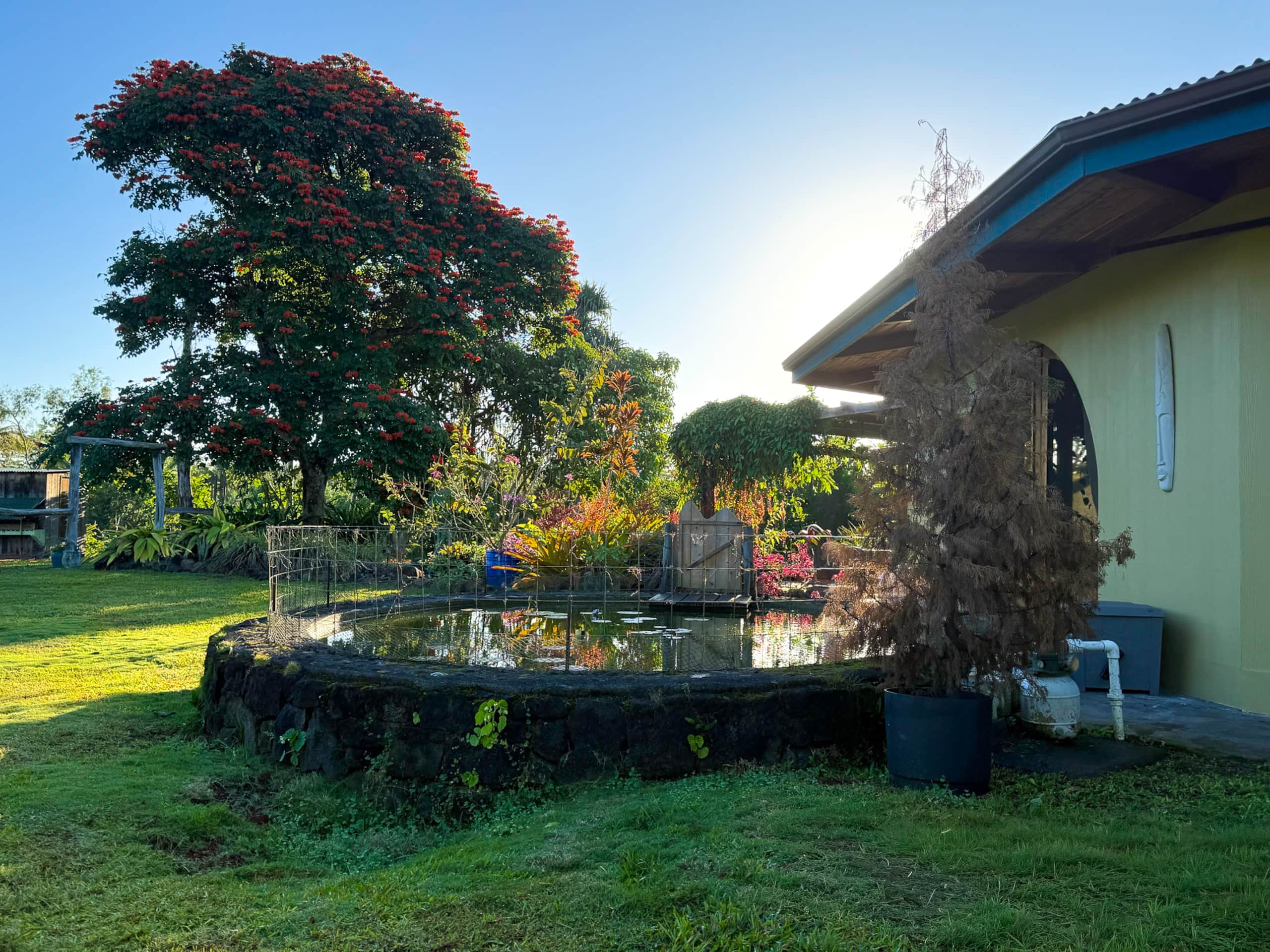 Home in Pahoa · ★5.0 · 4 bedrooms · 4 beds · 1 private bath - Image 46
