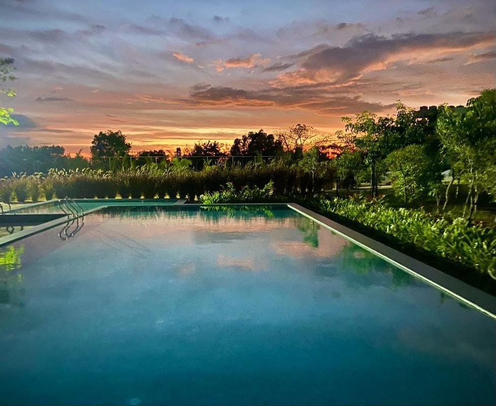A serene swimming pool is framed by lush greenery and vibrant plants. The tranquil water reflects a colorful sunset sky, while silhouettes of trees provide a natural backdrop, creating a peaceful outdoor atmosphere.