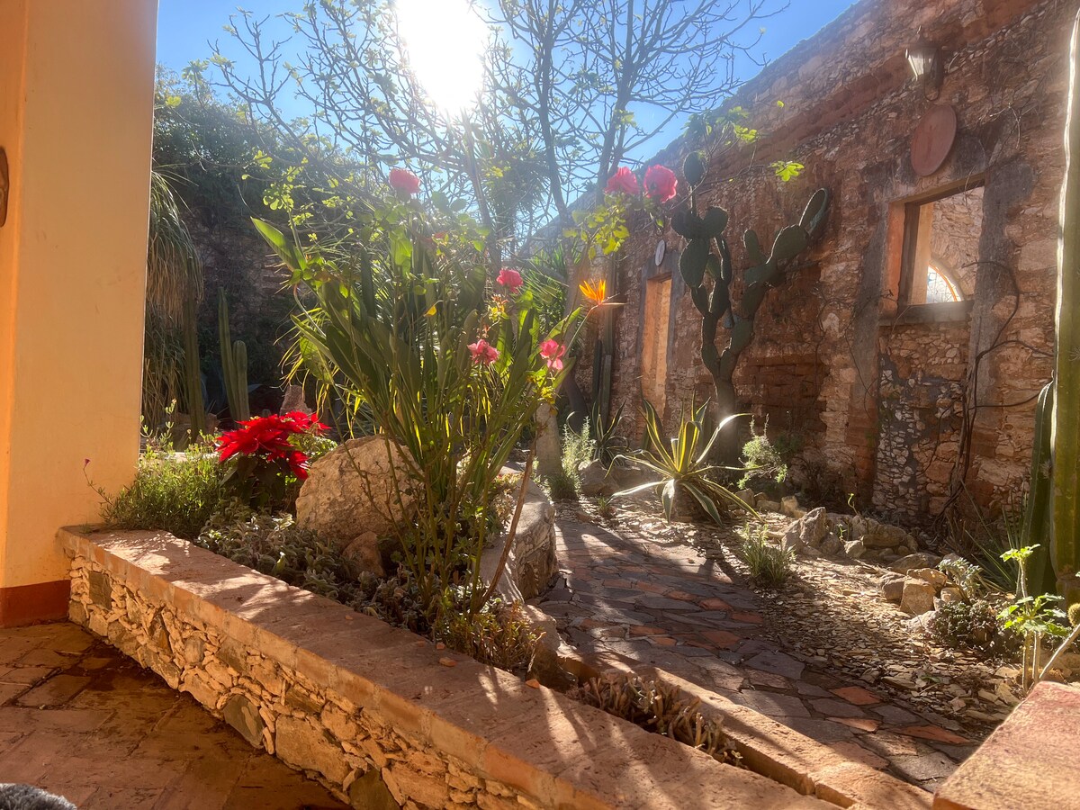 A central courtyard garden is visible, featuring a variety of plants including vibrant flowers, cacti, and climbing vines. Sunlight filters through the tree branches, illuminating the stone pathways and creating a serene environment. The historic adobe walls provide a rustic backdrop.