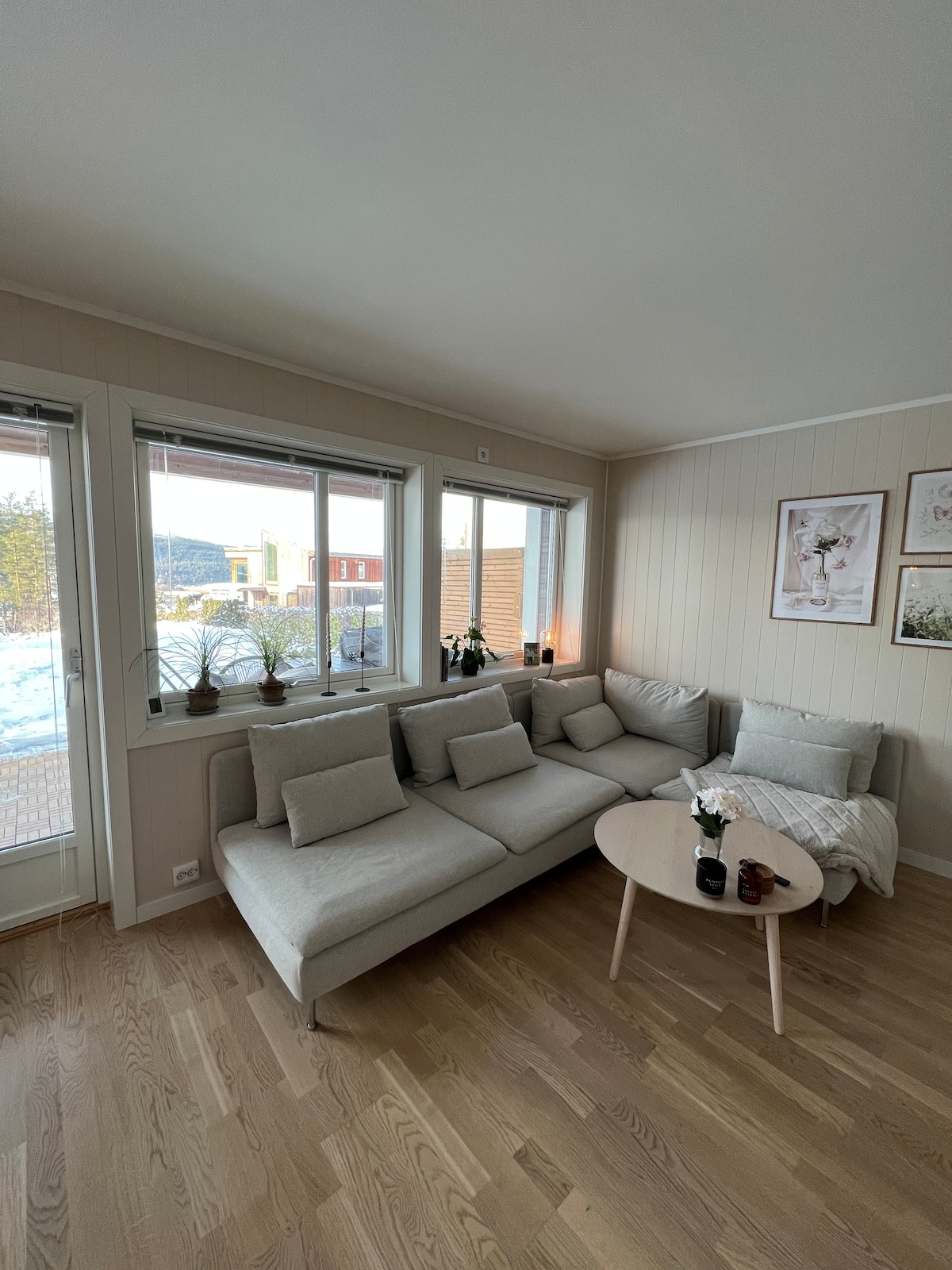A light-filled living area is visible, featuring a large sectional sofa with multiple cushions arranged around a small, round coffee table. Natural light streams through two large windows, creating a pleasant and bright atmosphere. Houseplants are placed on the windowsills, enhancing the space.