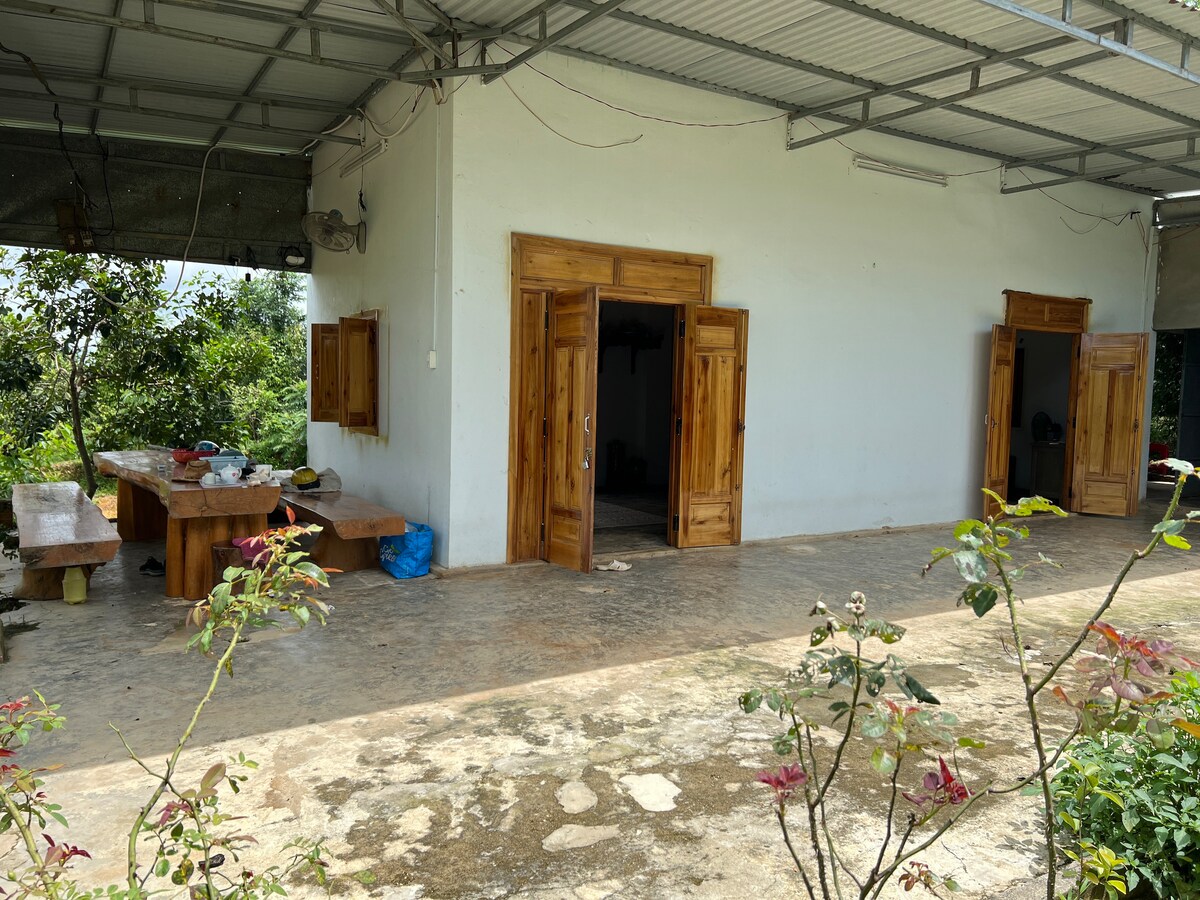 An outdoor area features a large wooden table surrounded by benches, ideal for group gatherings. Two wooden doors are open, leading into a white interior space. A concrete floor is visible, with greenery surrounding the area, enhancing the connection to nature.