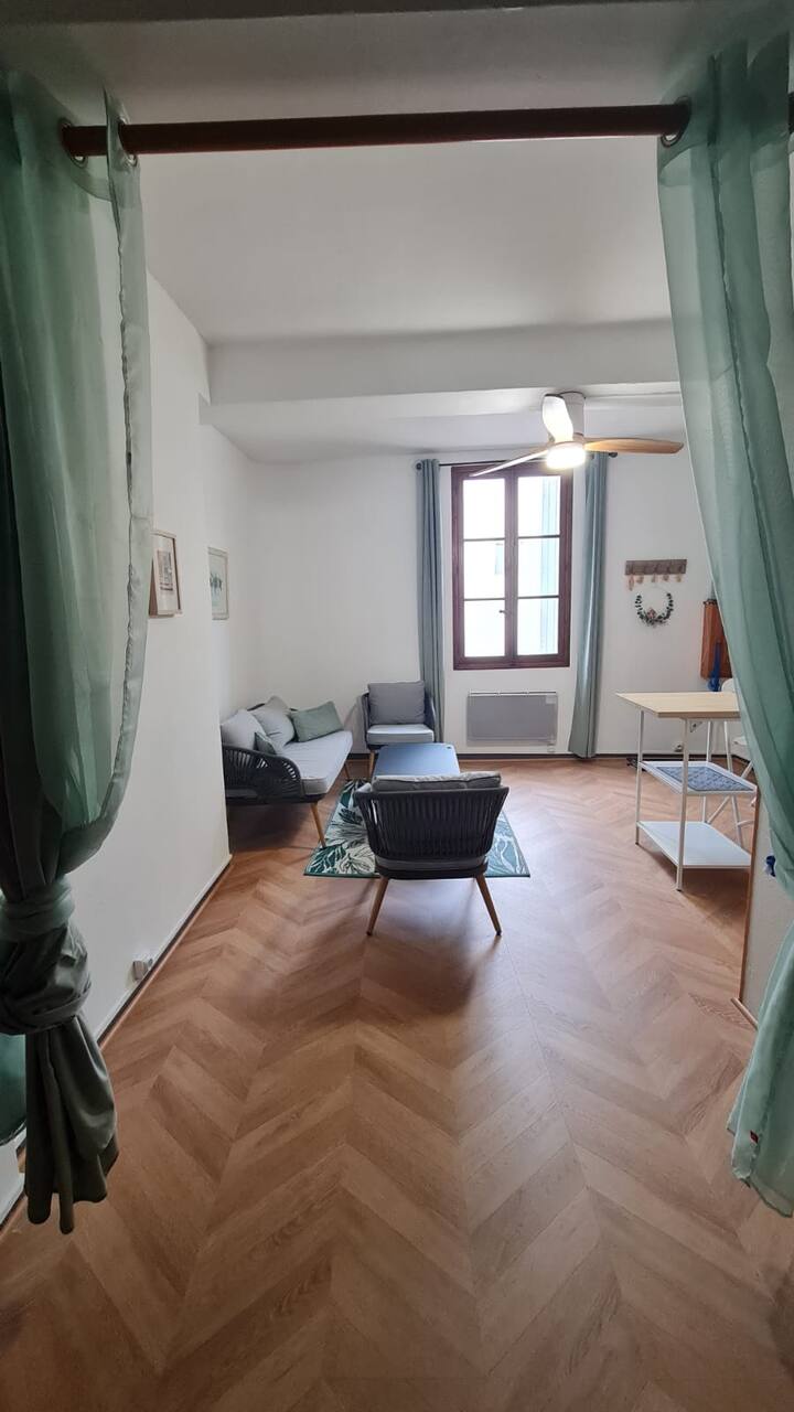 T2 Le Nid Céladon ÉCusson Wifi 2 Ventilateurs - Montpellier