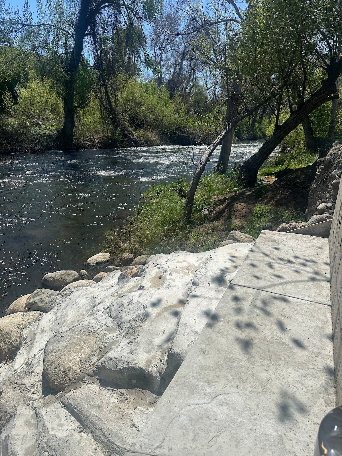 The image shows a natural riverbank with flowing water, surrounded by lush greenery. Smooth stones create a path leading to the water's edge, where tree branches provide shade. Sunlight filters through the leaves, casting dappled shadows on the ground.