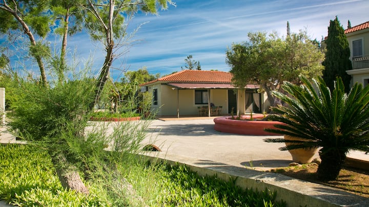 Asterias Home Kefalonia - Cefalonia