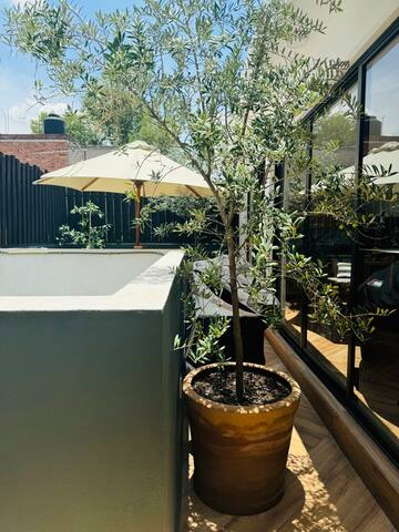 Duplex Penthouse Roma (1500 sq/ft) large rooftop gallery image 2