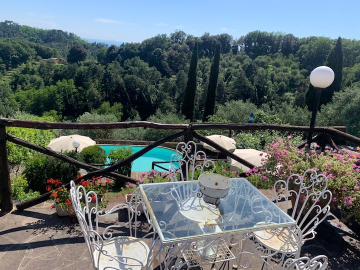 Villa In Toscana Tra Olivi E Mare - Camaiore