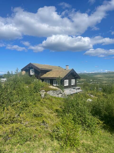 Great cabin with gorgeous mountain views
