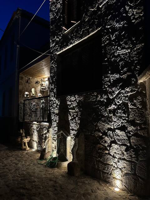 Mcm Luxury & Traditional house