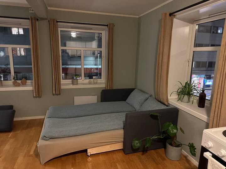 Sovesofa