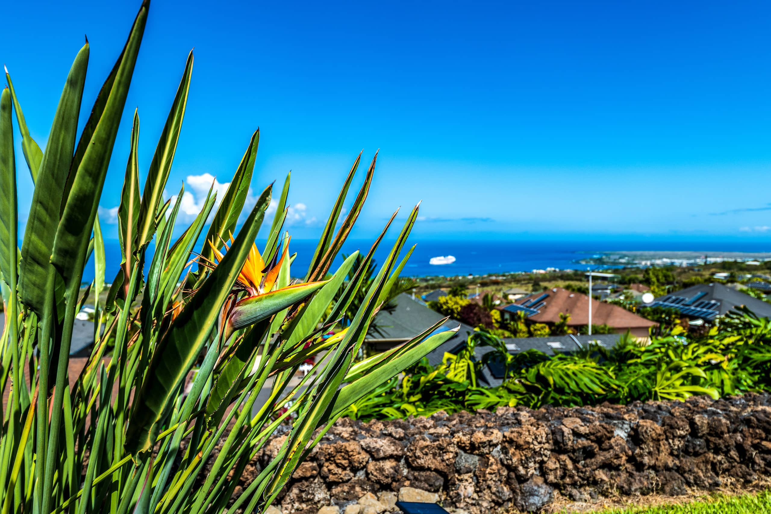 Home in Kailua-Kona · ★4.97 · 8 bedrooms · 9 beds · 6.5 baths - Image 94