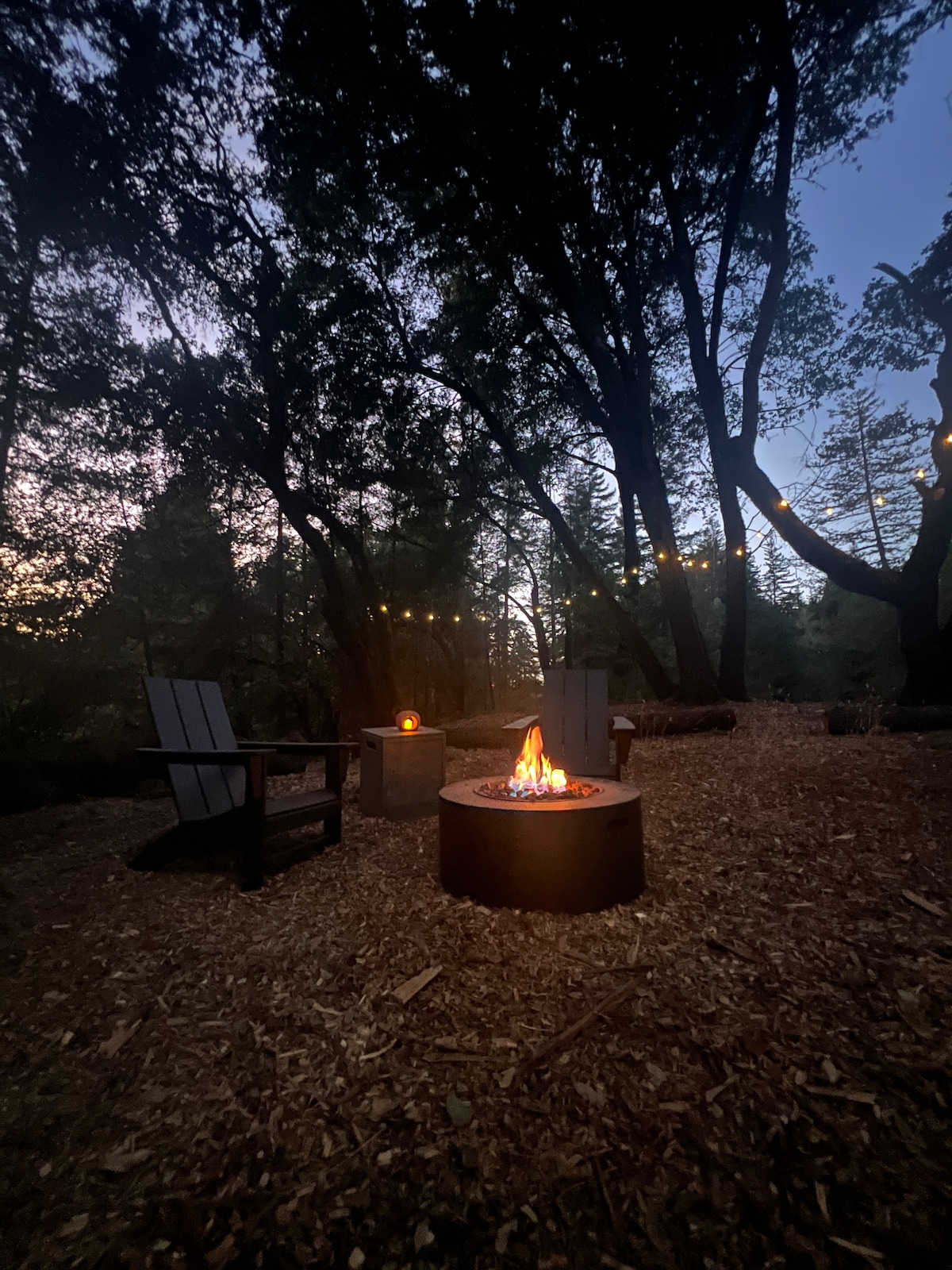 A cozy outdoor seating area is surrounded by tall trees, with a propane fire pit at the center. Two Adirondack chairs face the fire, while subtle lighting peeks through the foliage, creating a serene atmosphere as dusk settles in.