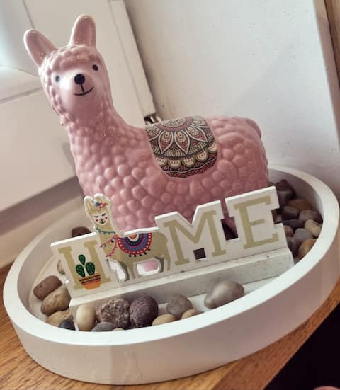 !L'appartement qu'il vous faut! (pairi daiza)